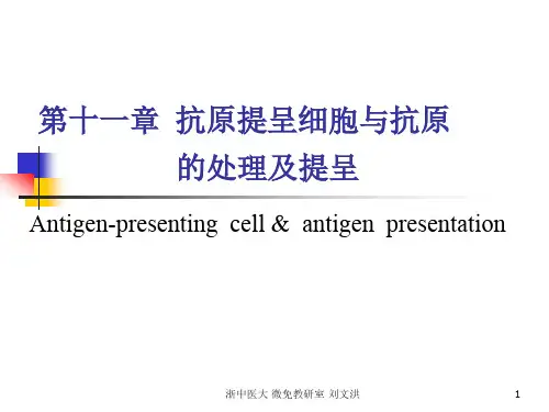 医学免疫学第十一章 抗原提呈细胞与抗原的处理及提呈