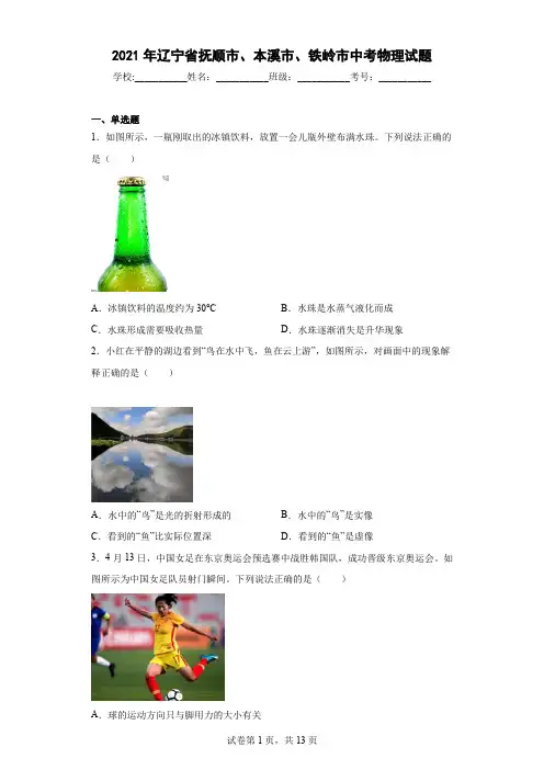 2021年辽宁省抚顺市、本溪市、铁岭市中考物理试题