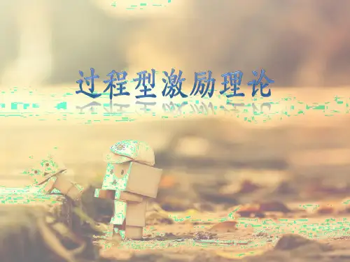 过程型激励理论