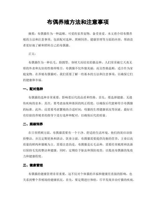 布偶养殖方法和注意事项