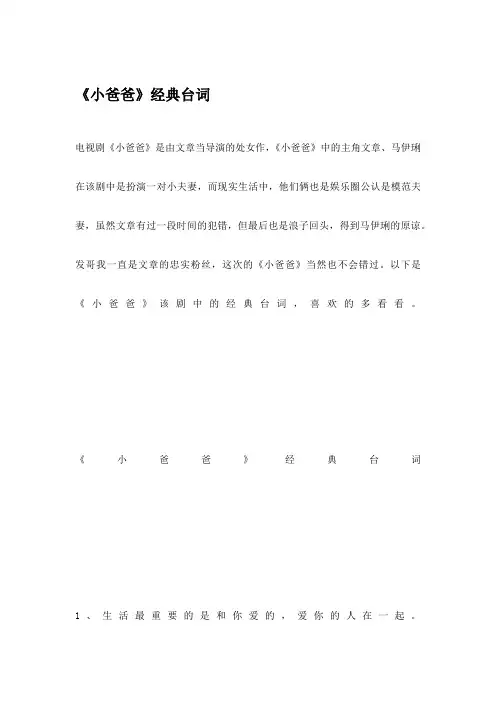 《小爸爸》经典台词