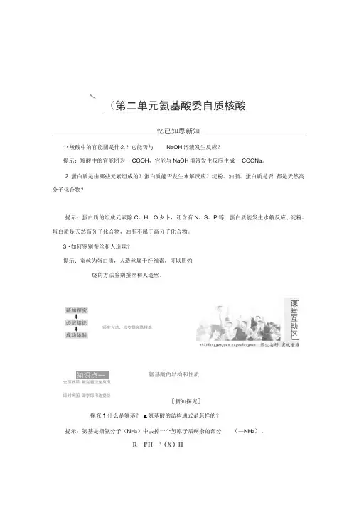 新苏教版高中化学选修5同步课件：氨基酸蛋白质核酸