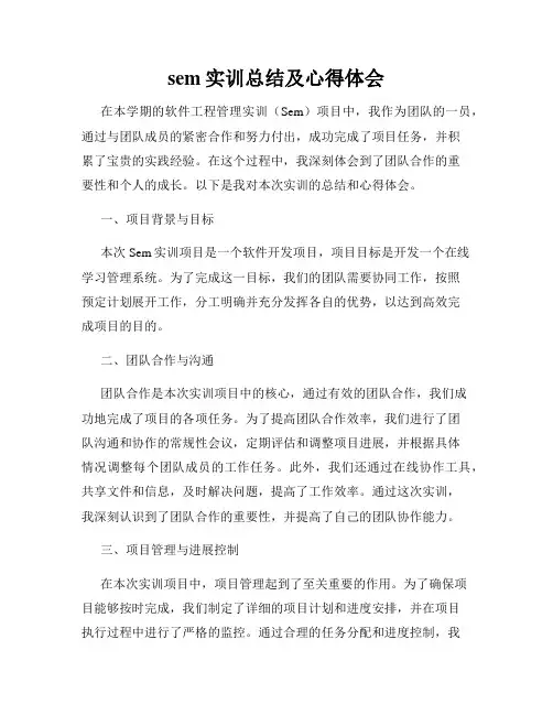sem实训总结及心得体会