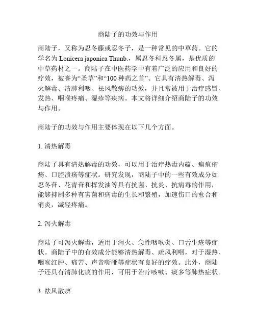商陆子的功效与作用