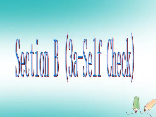九年级英语全册 Unit 8 It must belong to Carla Section B2课件 (新版)人教新目标版