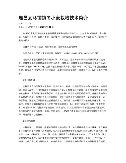 鹿邑县马铺镇冬小麦栽培技术简介