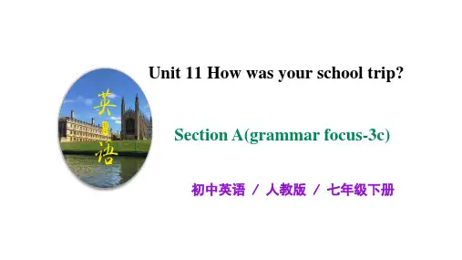 初中英语 七年级下册 Unit11 How was your school trip