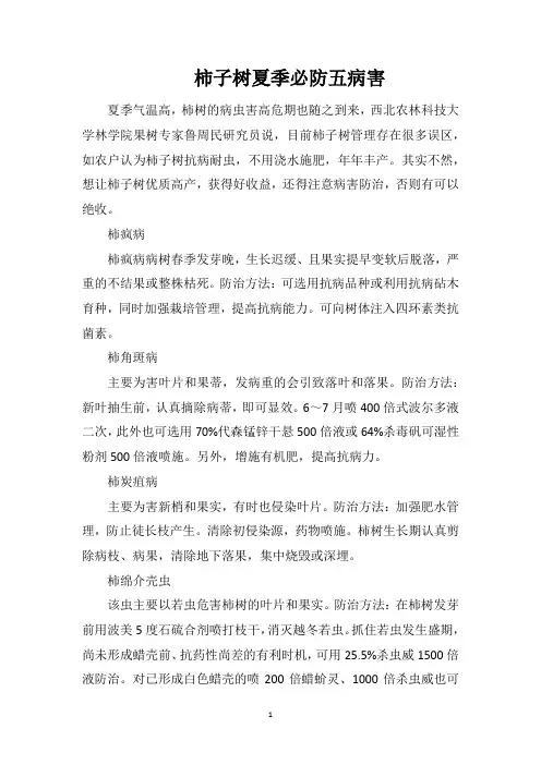 柿子树夏季必防五病害