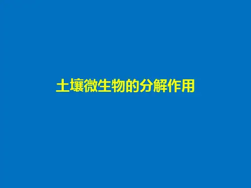5.3探究实验：土壤中微生物的分解作用 课件 人教版高中生物必修三