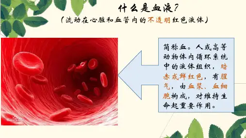4血液的组成理化性质和血型