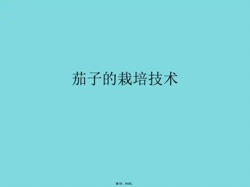 茄子的栽培技术(共8张PPT)