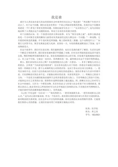 《我是谁》论文