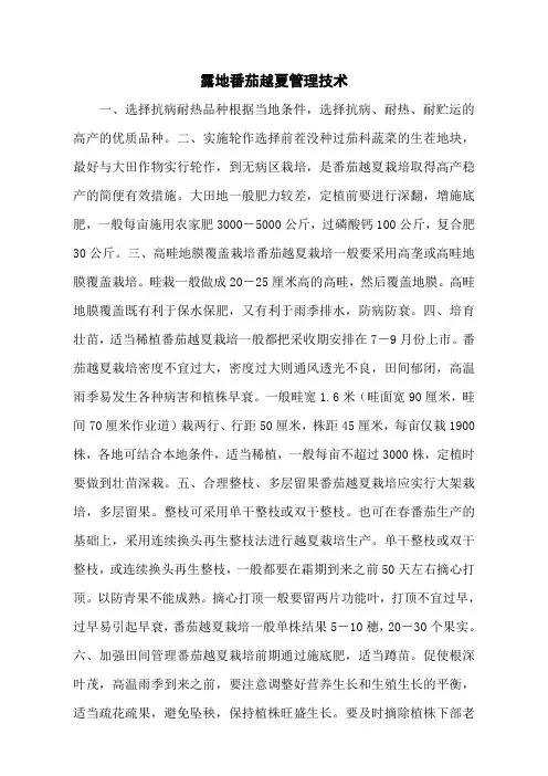 露地番茄越夏管理技术