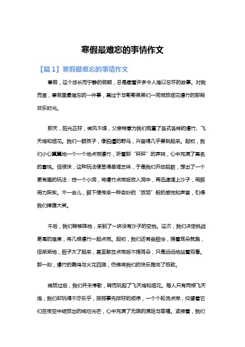 寒假最难忘的事情作文