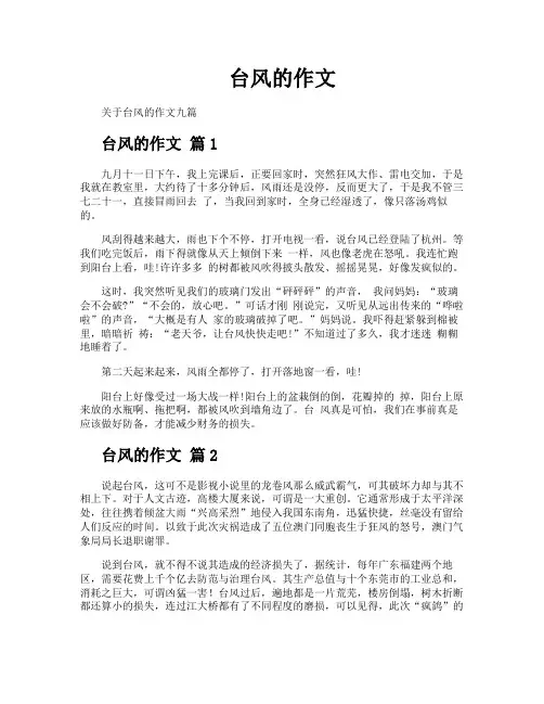 台风的作文