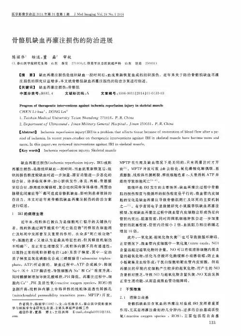 骨骼肌缺血再灌注损伤的防治进展