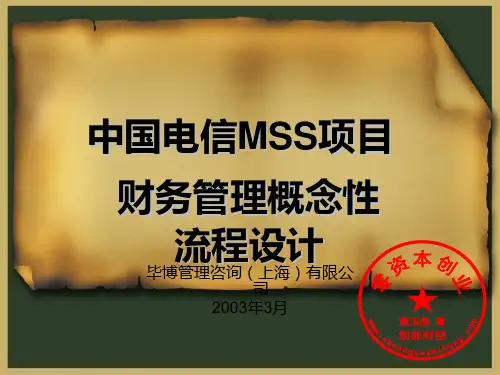中国电信MSS项目财务管理概念性流程设计.ppt