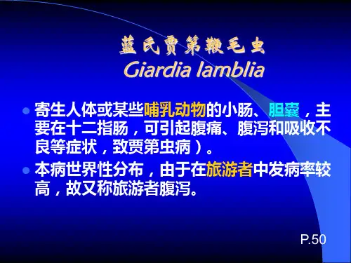 蓝氏贾第鞭毛虫