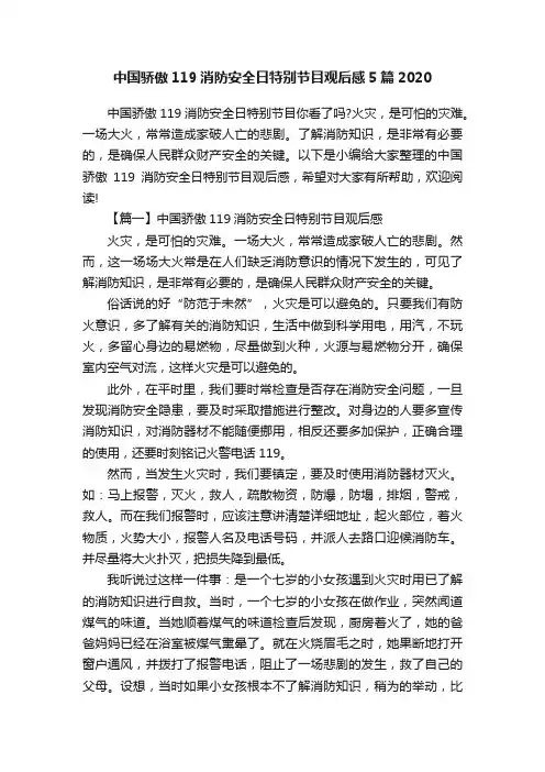 中国骄傲119消防安全日特别节目观后感5篇2020