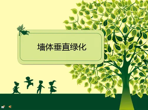 墙体垂直绿化