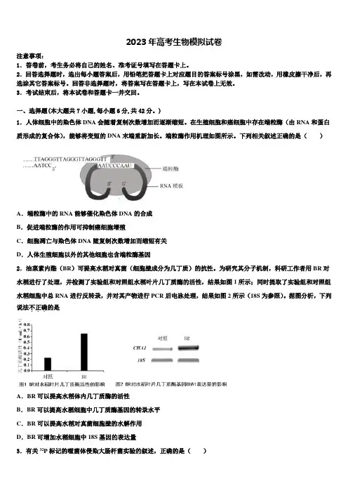 广东省联考联盟2022-2023学年高三第二次调研生物试卷含解析