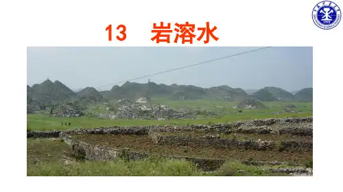 13 岩溶水
