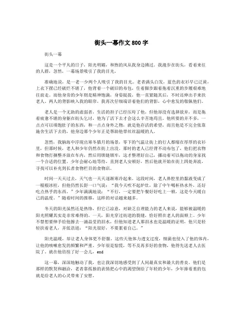 街头一幕作文800字