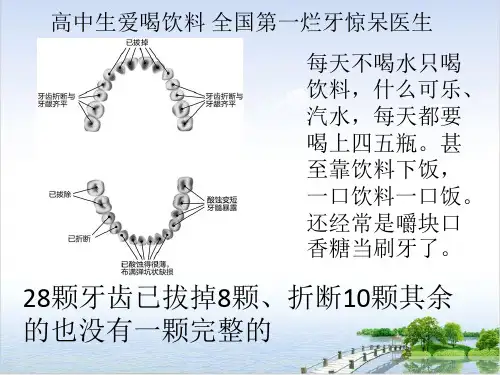 浙教版八级科学下二氧化碳教学精品优秀ppt