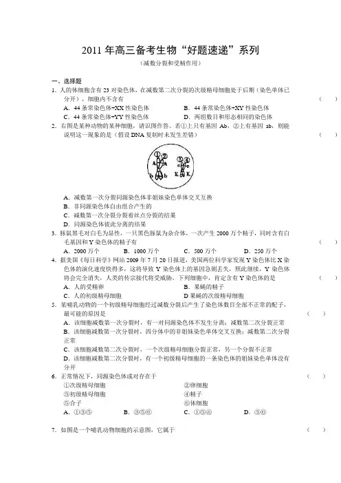 2011年高考生物专项测试题及答案(四)