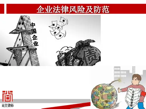企业法律风险防范讲座精ppt课件