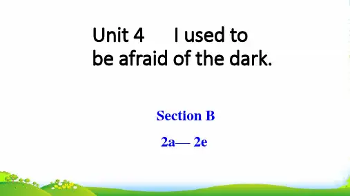 人教目标九年级全一册英语：Unit 4 Section B(2a—2e) 课件(共23张PPT)