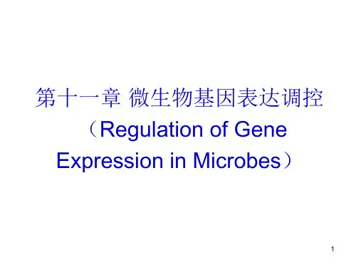 微生物的基因表达调控