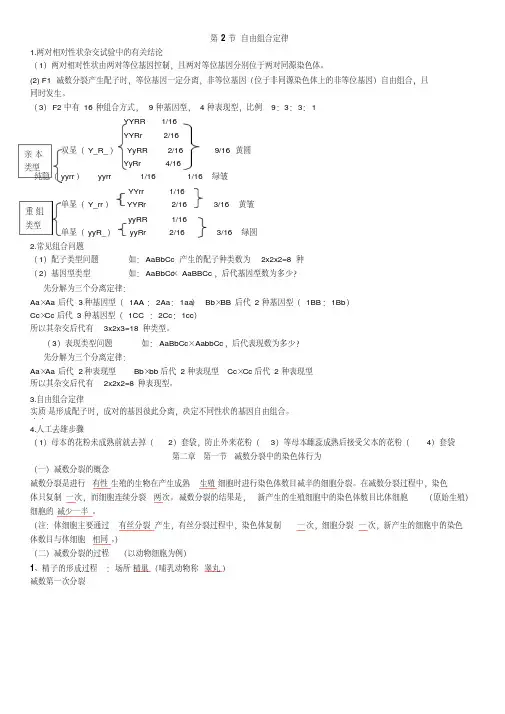 浙科版高中生物必修二复习提纲