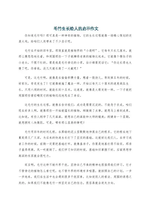 毛竹生长给人的启示作文