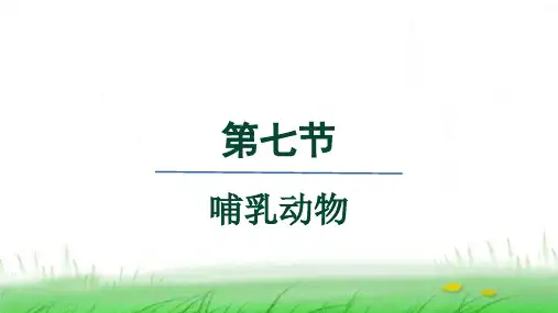 人教版八年级生物上册第五单元第一章动物的主要类群第七节哺乳动物课件