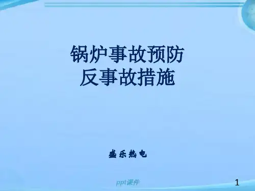 锅炉二十五项反措及事故预防  ppt课件