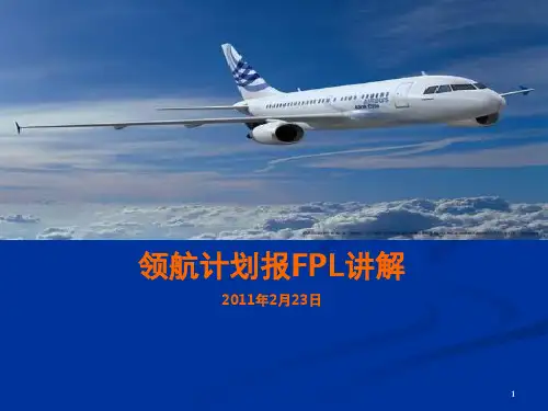 领航计划报-文档资料