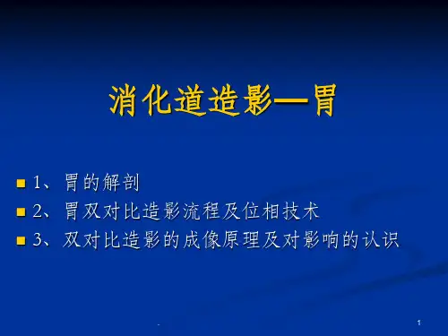 胃造影检查ppt课件