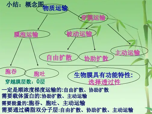 高中生物必修一酶的作用和本质 酶的特性 高质量课件(共59张PPT)