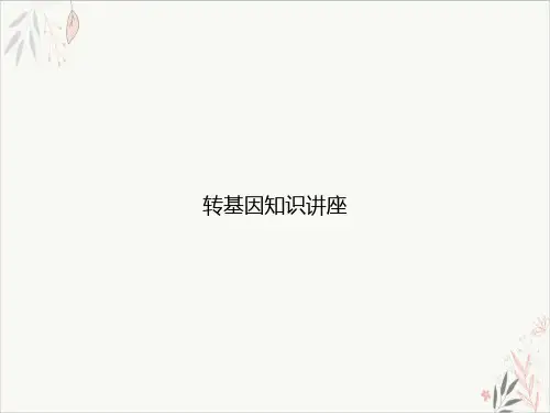 转基因知识讲座课件-PPT