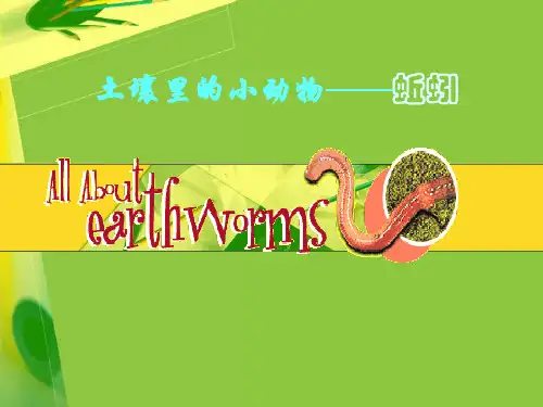 三年级上科学课件-蚯蚓教科版