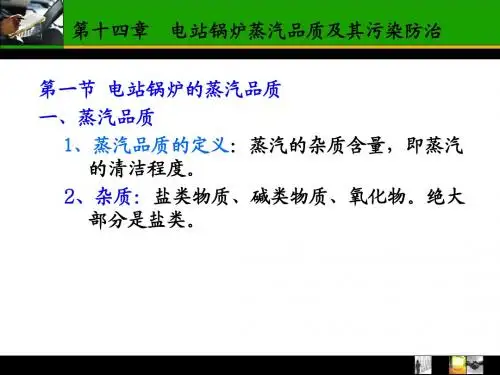第十四章 电站锅炉蒸汽品质及其污染防治