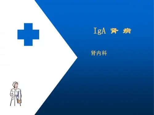 IgA肾病ppt课件