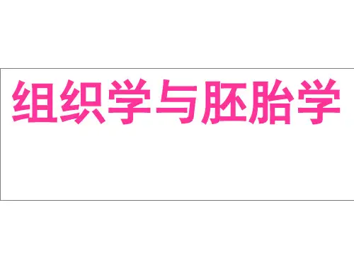 组织与胚胎学PPT课件 上皮组织