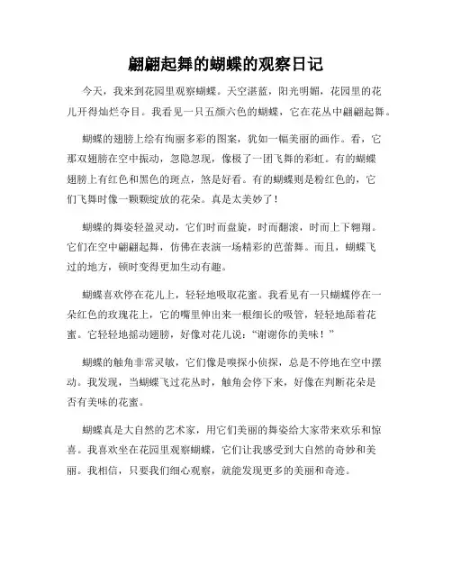 小学三年级作文翩翩起舞的蝴蝶的观察日记