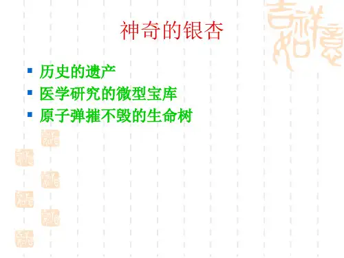 谈古论今话银杏