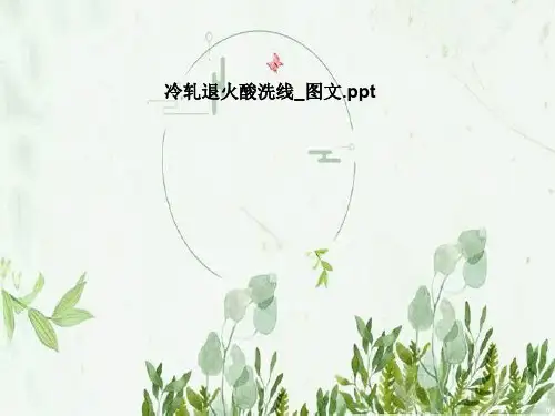 冷轧退火酸洗线_图文