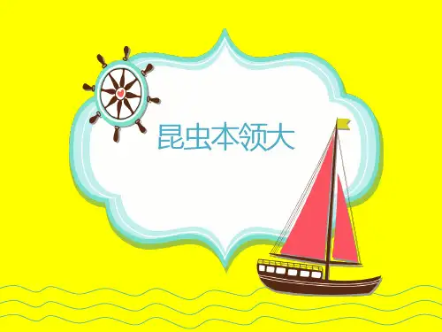 大班-昆虫总动员-昆虫的本领