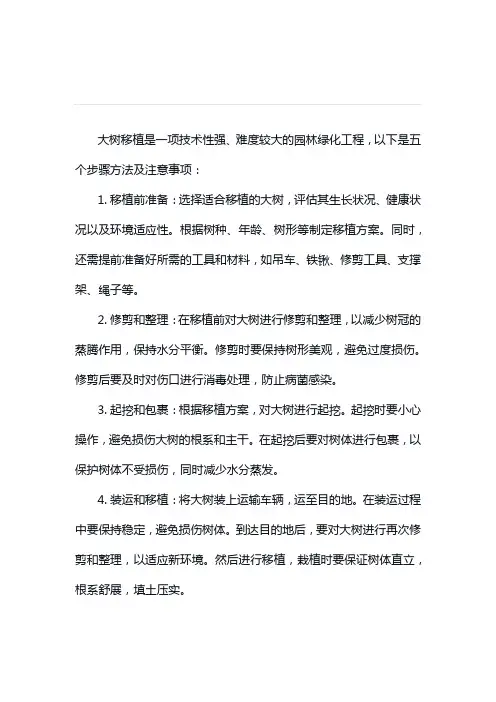 大树移植的5个步骤