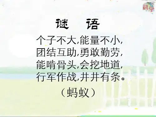PPT课件：校园里的蚂蚁